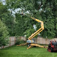 Best Hedge Trimming  in Kingfisher, OK